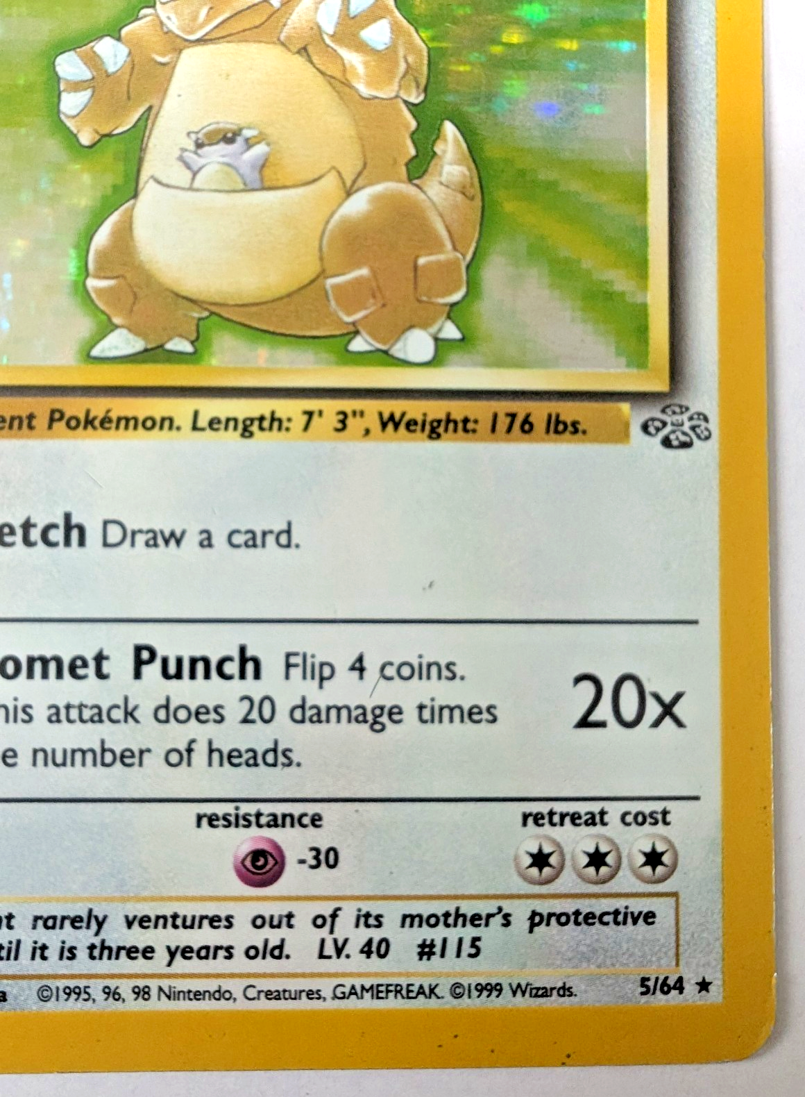 Pokémon TCG - Kangaskhan  - 05/64 - Jungle - Holo Rare - Unlimited - MP4