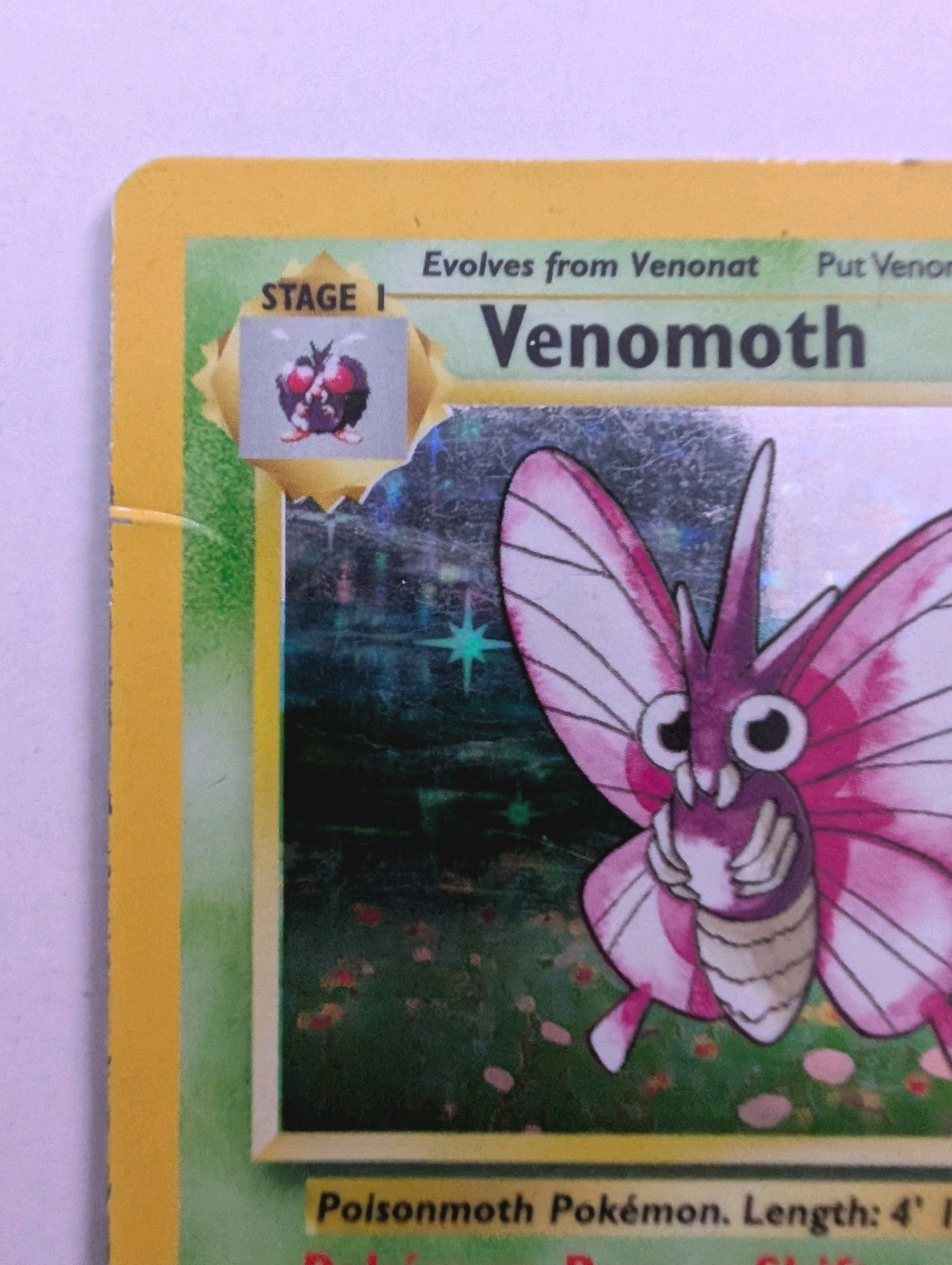 Venomoth Pokémon Card 13/64 Jungle Holo Rare, Unlimited, MP Condition1