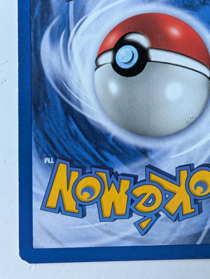 Pokémon TCG | Base Set Evolution Set | Squirtle / Wartortle / Blastoise | LP–HP