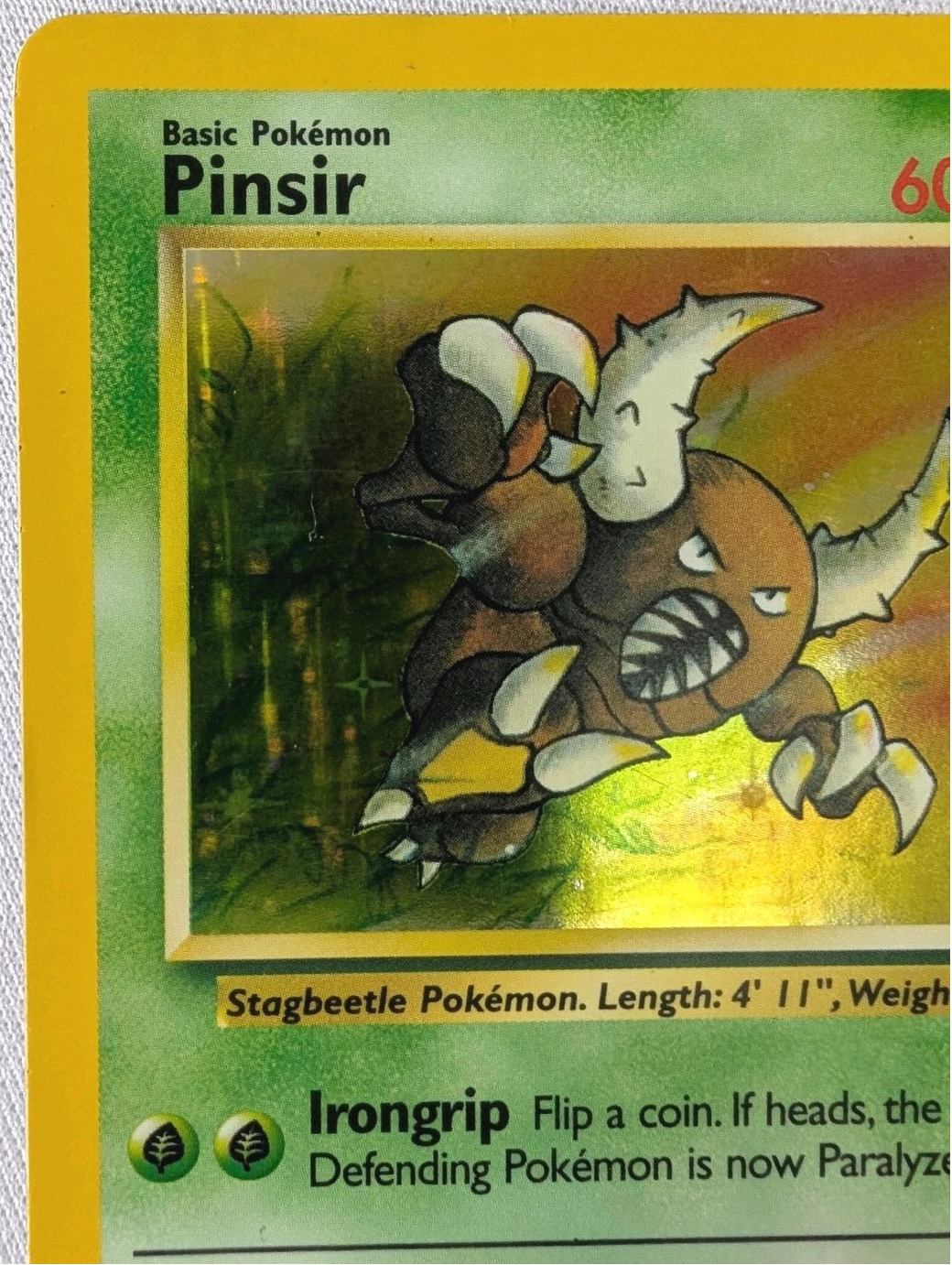 Pokémon trading card featuring Pinsir on a textured gray background