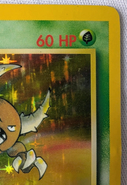 Pokémon TCG | Pinsir 09/64 | Jungle (Unlimited) | Holo Rare | LP