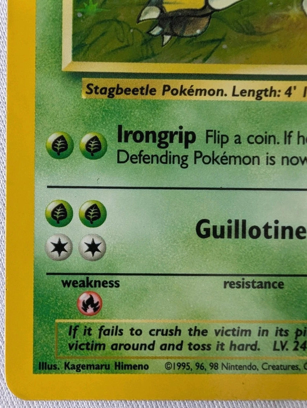 Close-up of a Pokémon trading card featuring Stagbeetle.