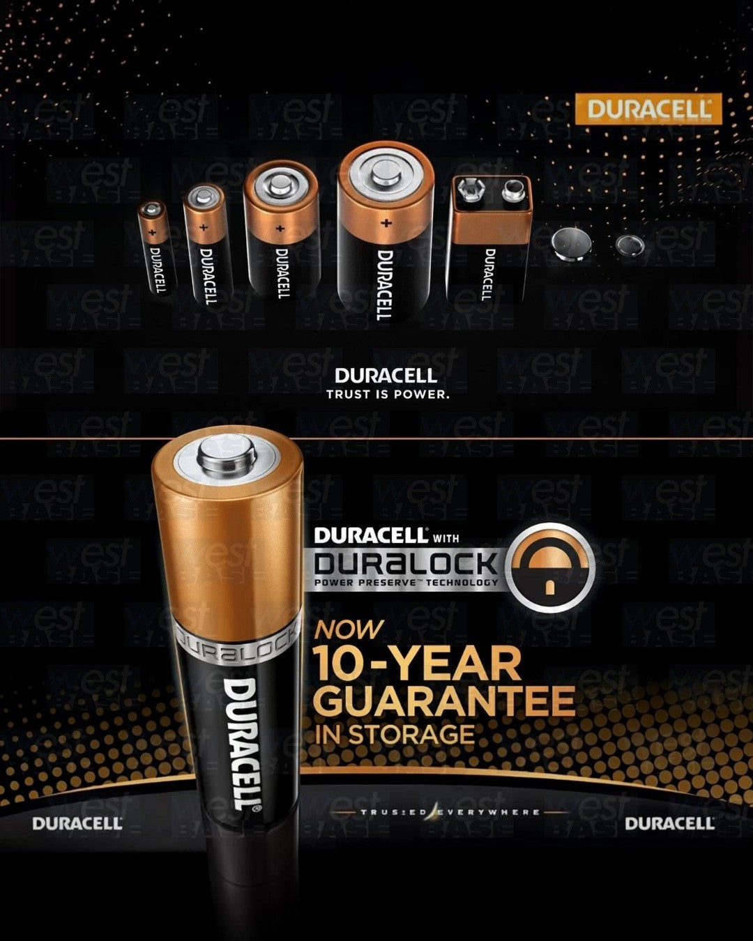 VaultifyUK Duracell Plus C alkaline batteries featuring Duralock technology with a 10-year storage guarantee