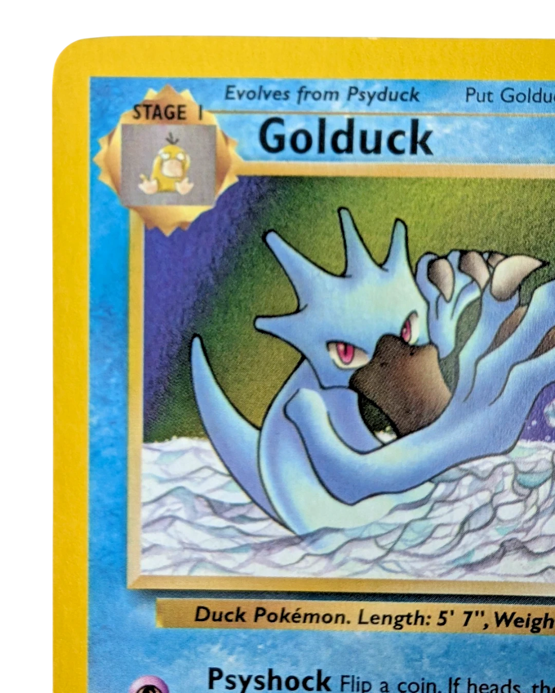 VaultifyUK vintage Fossil expansion Golduck non-holo trading card showing Stage 1 evolution from Psyduck