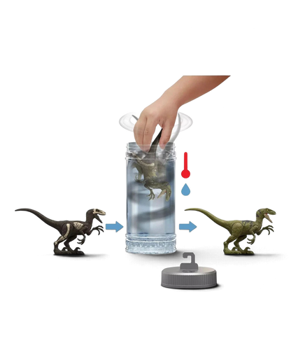 VaultifyUK Jurassic World Dino Reveal figure showing water-activated colour change from skeleton to green dinosaur