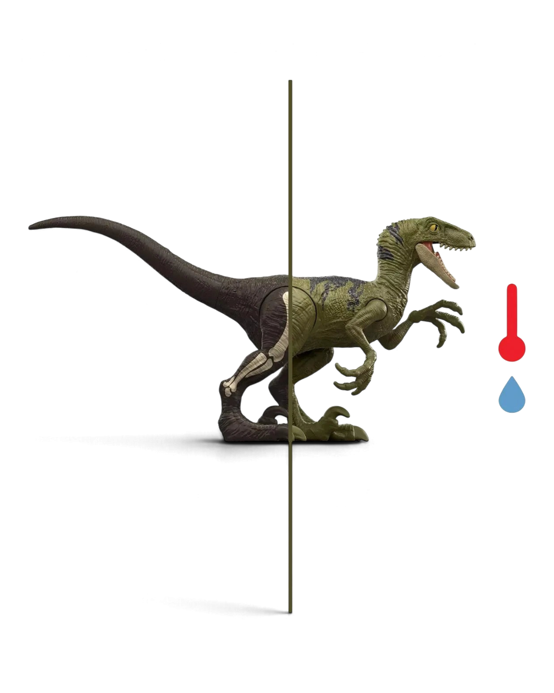 VaultifyUK Jurassic World Dino Reveal raptor figure showing water-activated colour change and skeletal detail