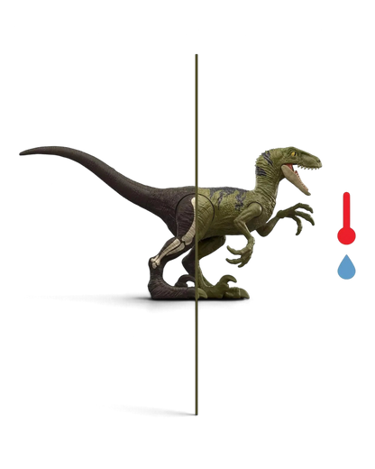 VaultifyUK Jurassic World Dino Reveal raptor figure showing water-activated colour change and skeletal detail