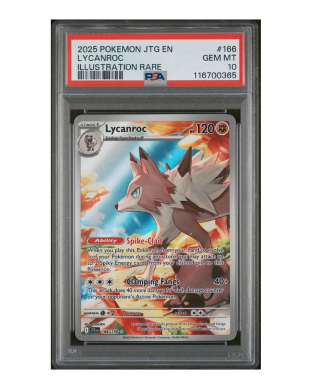 VaultifyUK 2025 Pokémon Lycanroc Illustration Rare card #166/159 in a PSA 10 graded slab
